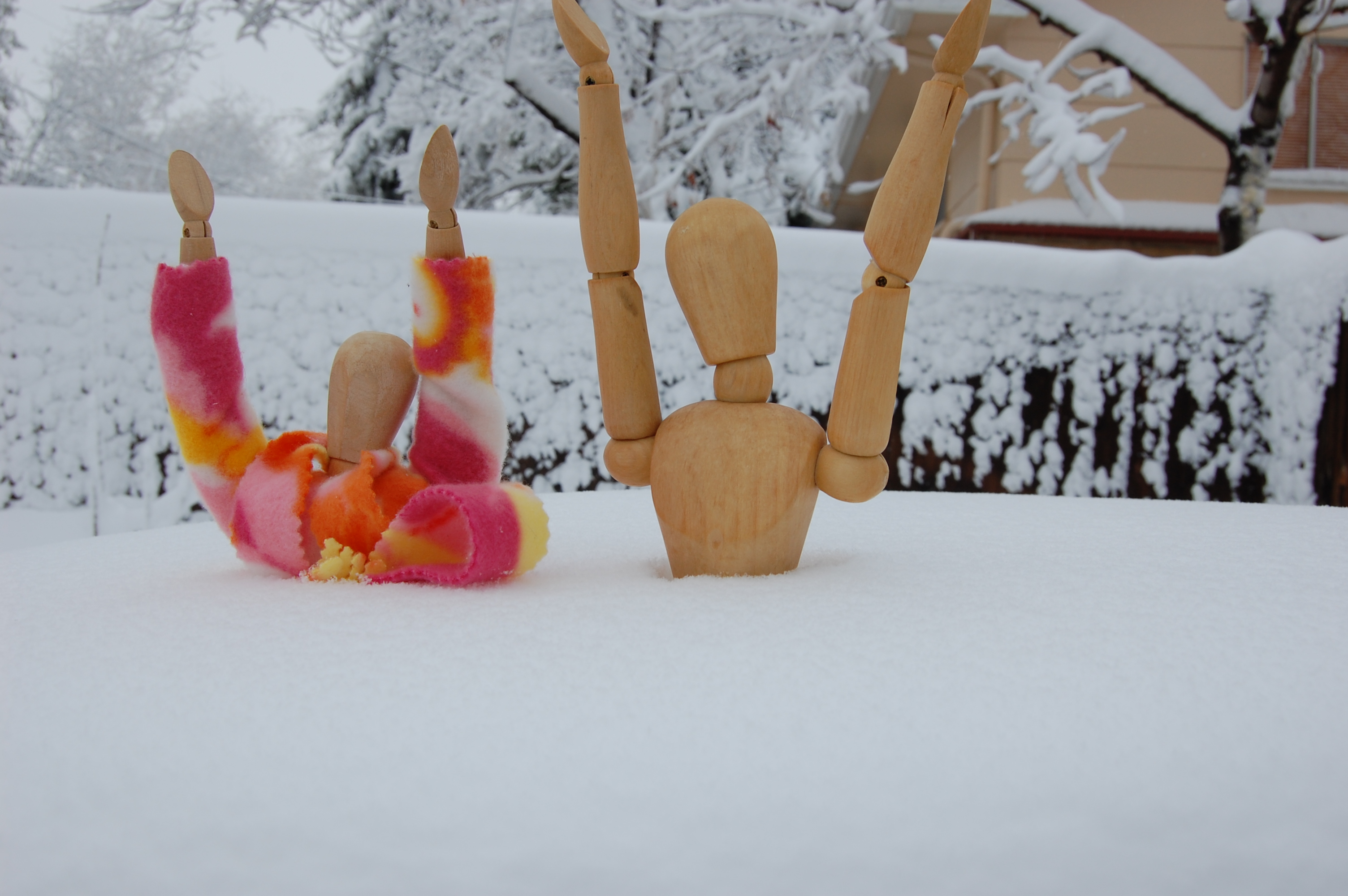 Armpit deep the morning after the spring storm