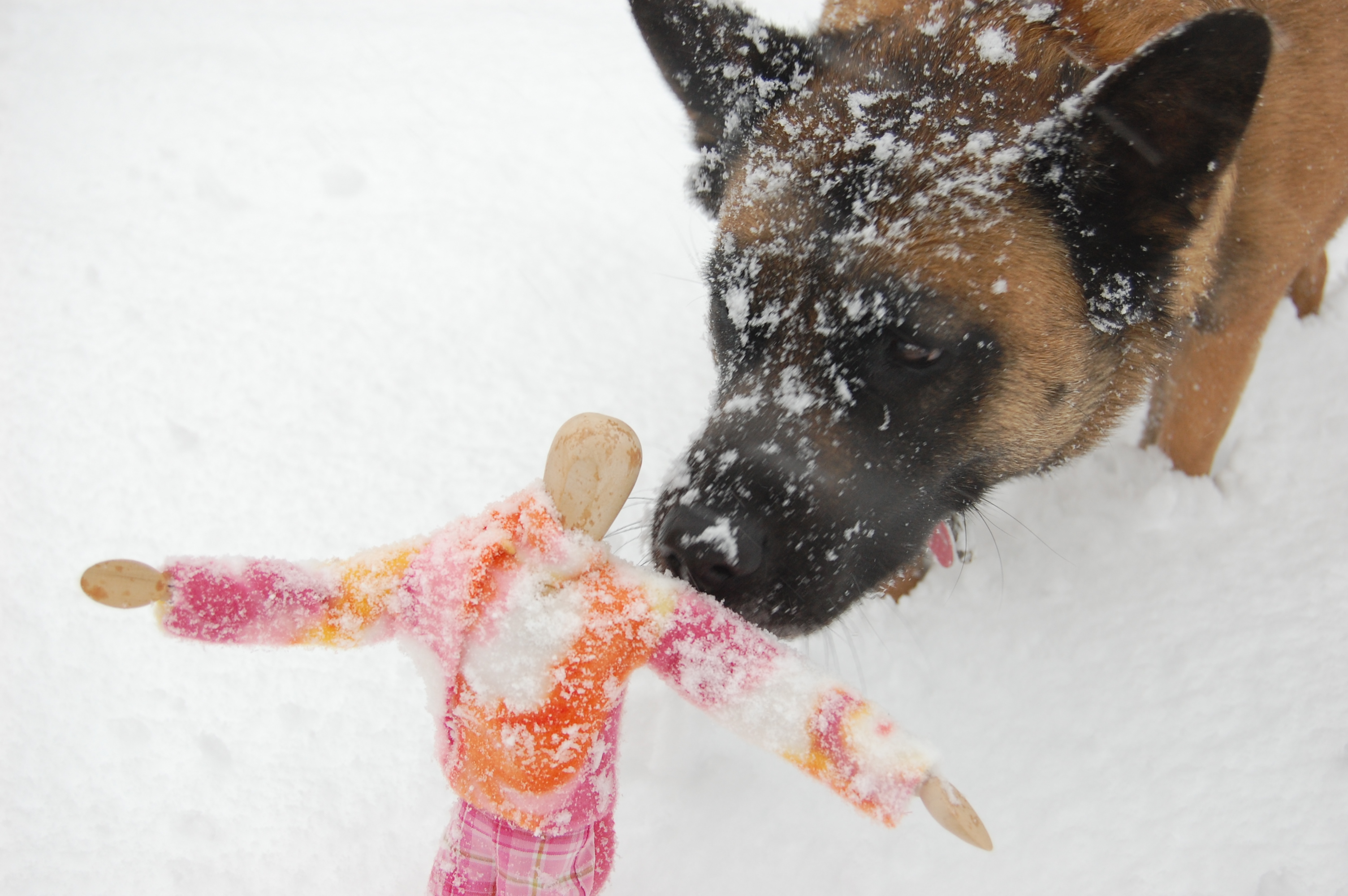 You're not the tennis ball