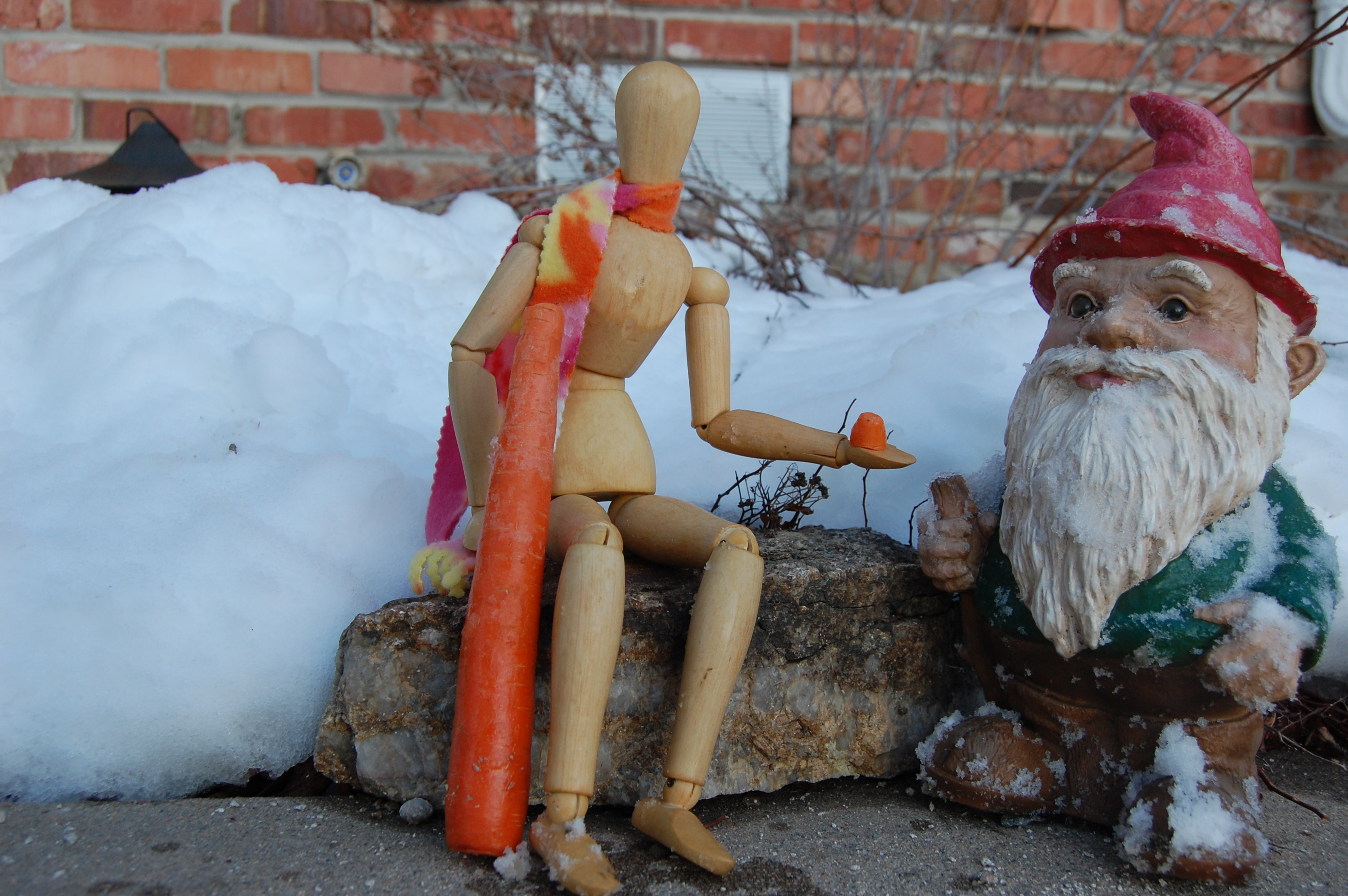 You must be hungry. Here, have some carrot.