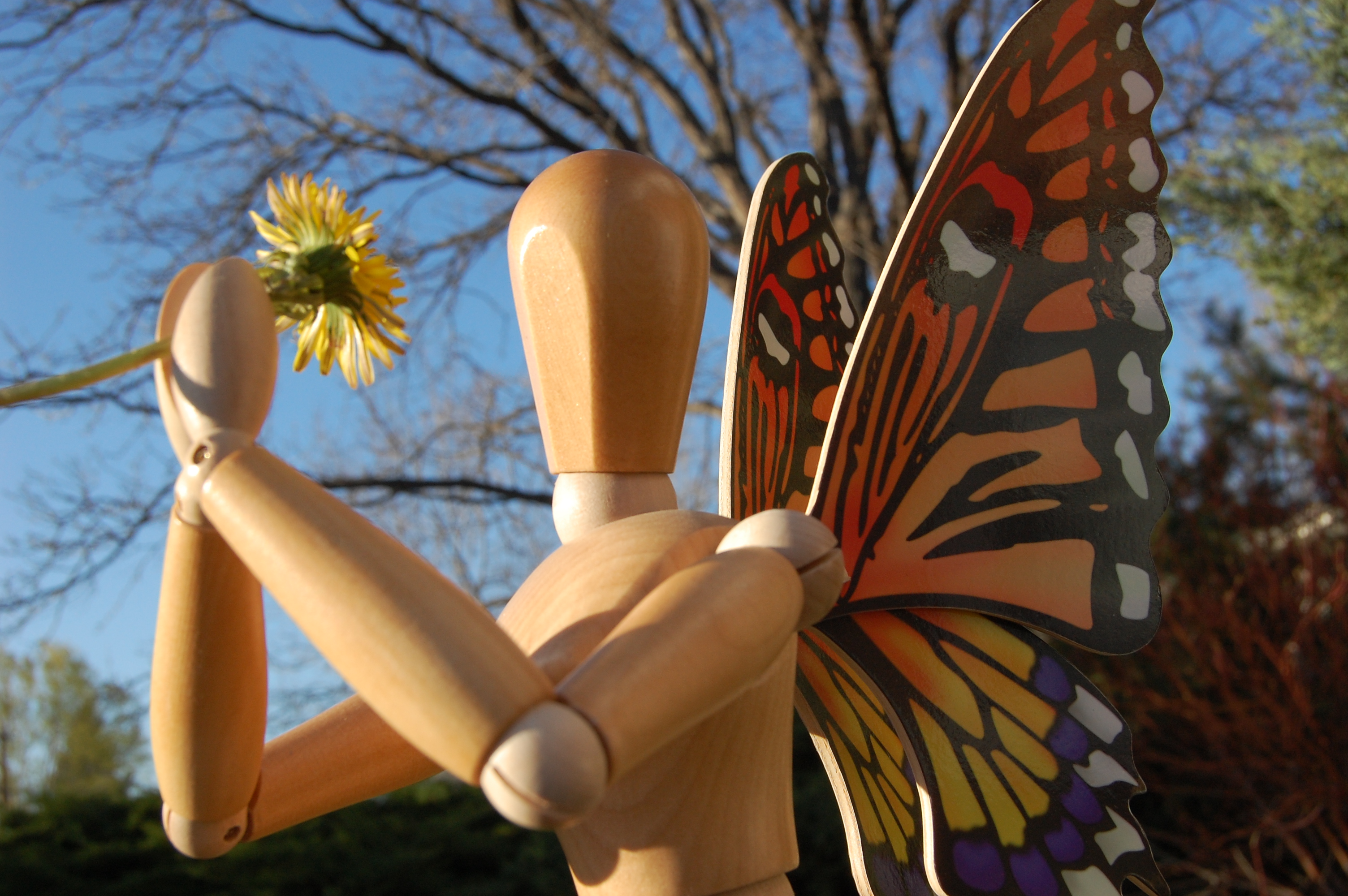 The First Dandelion of Spring