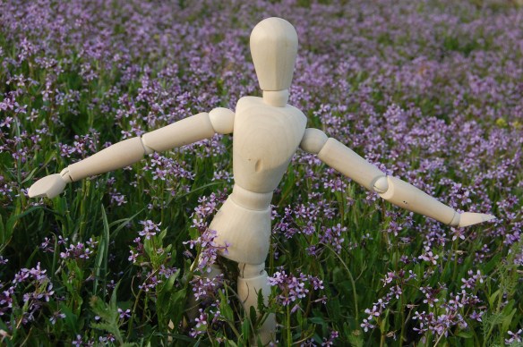 Imagine fingertips touching the whisps of wheat in wind