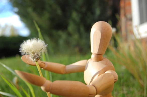 Oh, hello dear dandelion