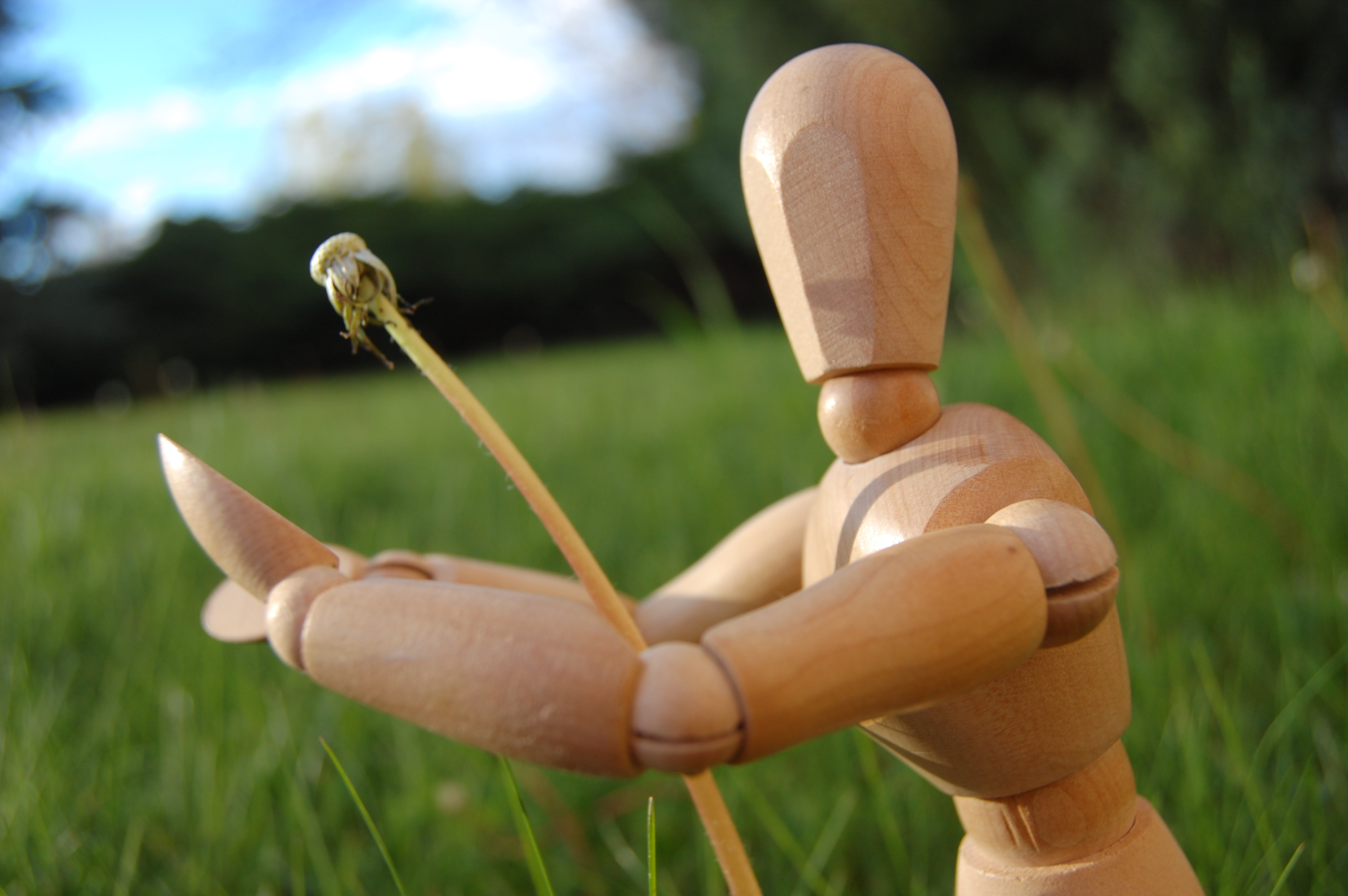 And you, I see you've already given out wishes