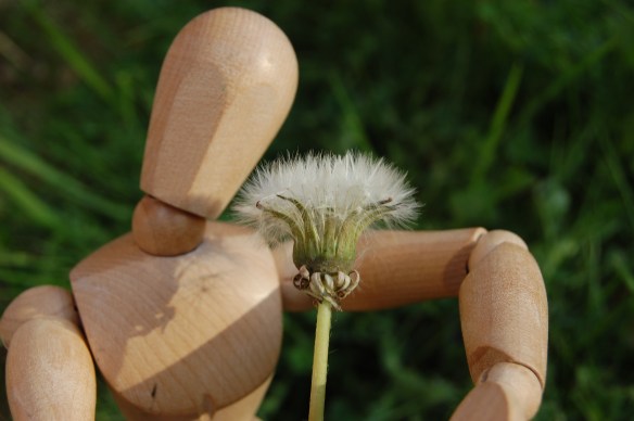 Will you be my wishing wand?