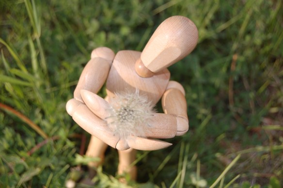 You will? Let's dance before wishing...