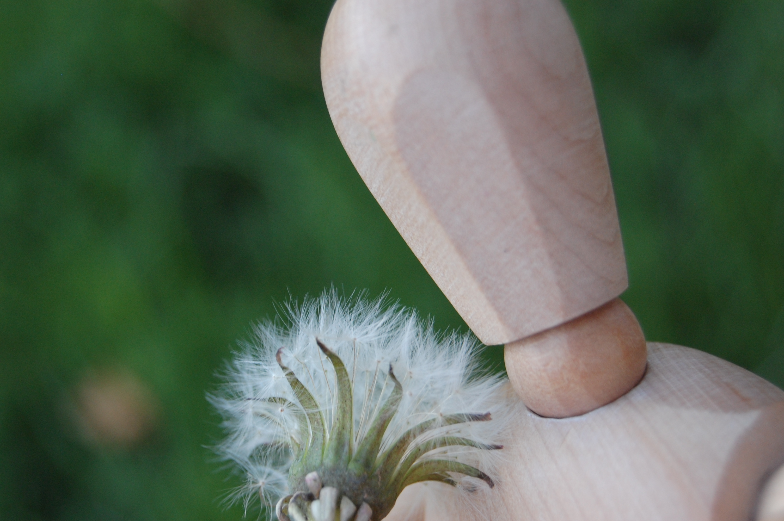 I cherish each wish...