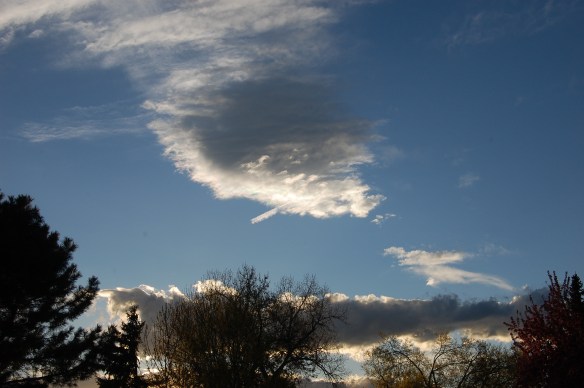 I planted a seed in the sky