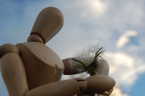 Thanking each wish in advance