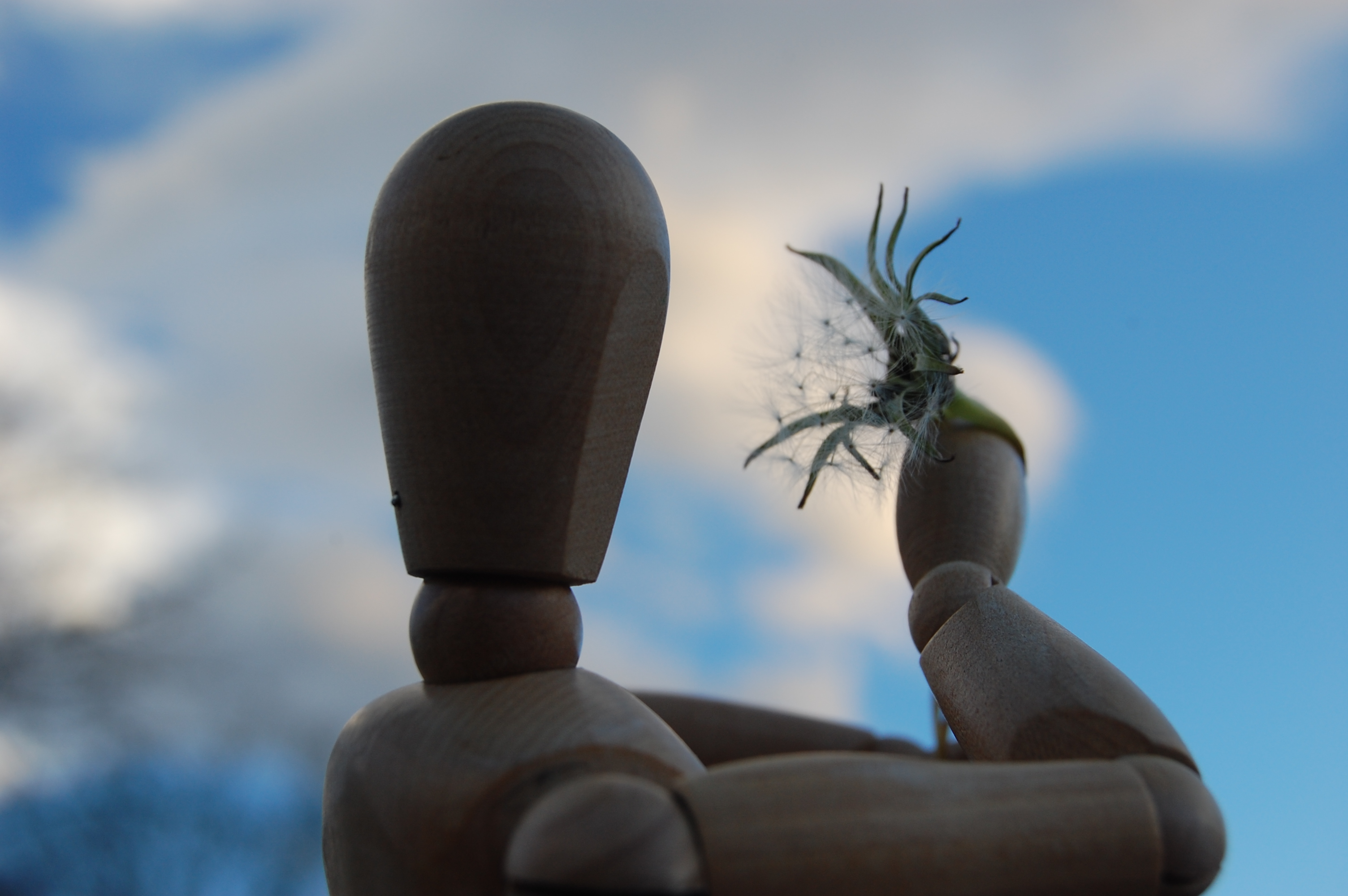 Loading my bow, aiming my wish to the sky