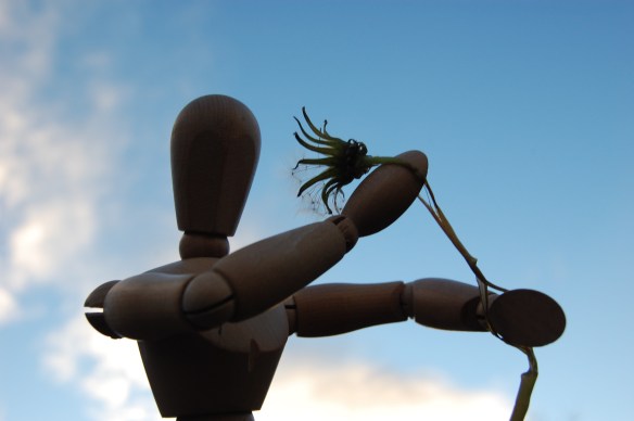 I wanted a wish so I whiffed and it whooshed