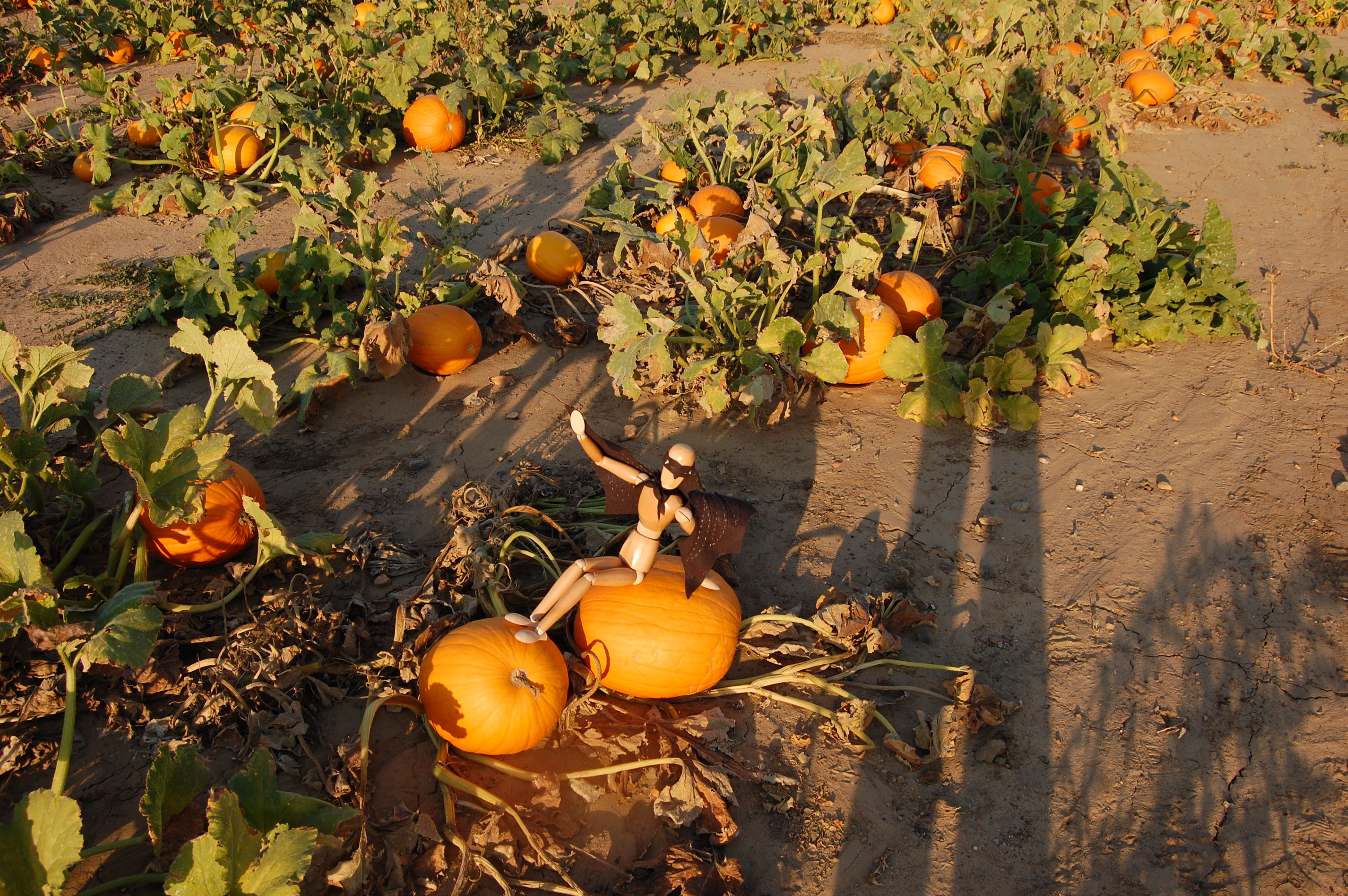 Batikin with EmotikinGirl