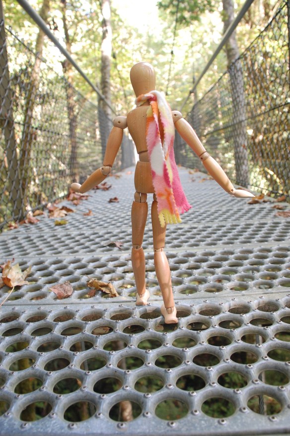 Taking my first steps onto the suspension bridge at islandwood