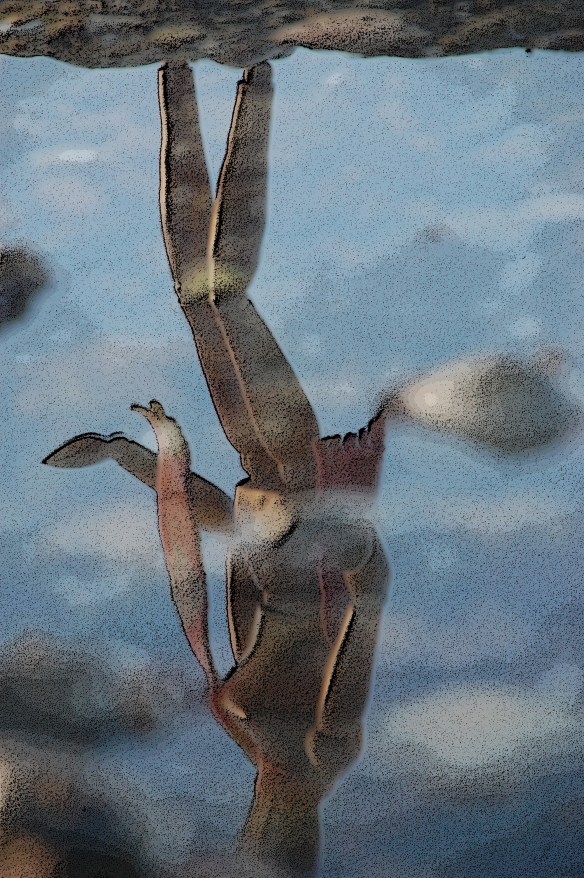 Reflections of a soul