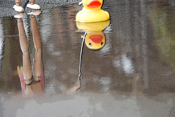 Rubber ducky reflections on a rainy Sunday in Seatle