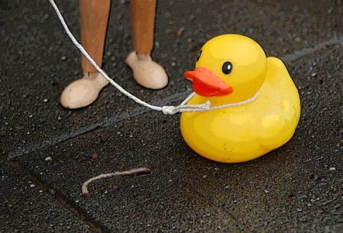 duckworm (600 x 407)