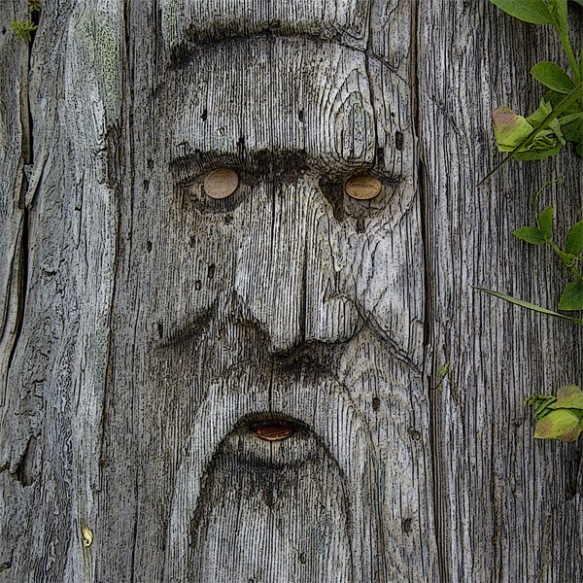Nordic Neptune, face carved in driftwood