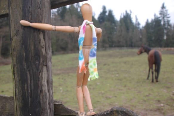 Hey horse, come over here