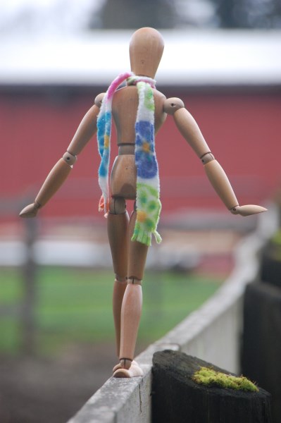 Walking toward the barn