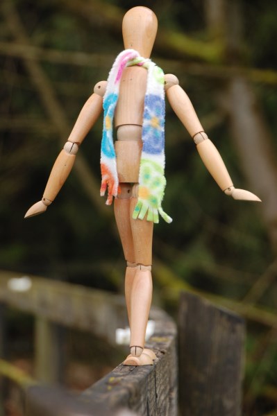 Another pasture fence