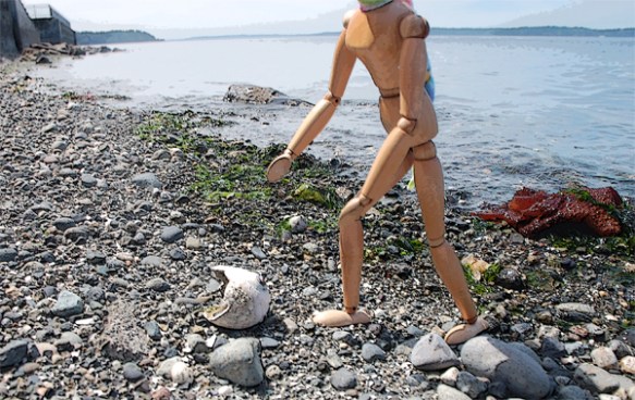 Washed up on the beach