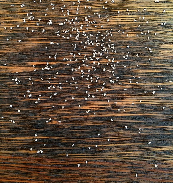 A galaxy of new ideas sprouted