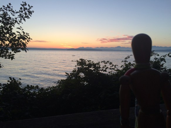 Pink in the sky, silhouettte